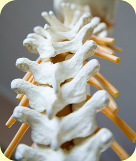 Chiropractic Care